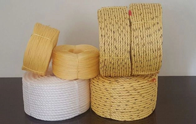 PP Danline Rope Manufacturer 