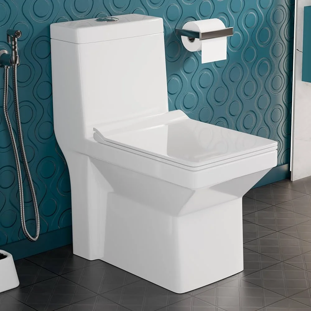 Floor Mounted Water Closet