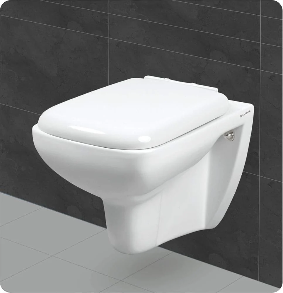 Wall Hung Toilet / Wall Hung Water Closet